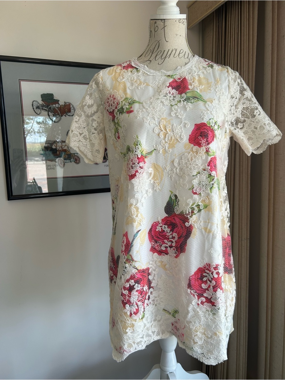 Vintage Lady Story Floral Lace Overlay Dress | Cottagecore Romantic